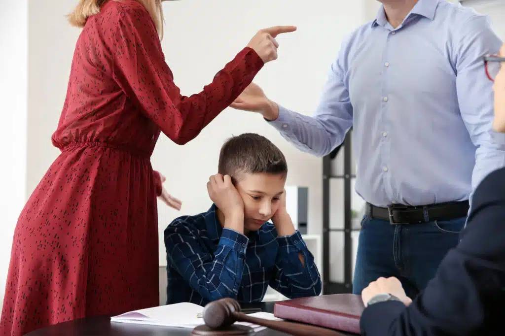 Custody Cases With Domestic Violence